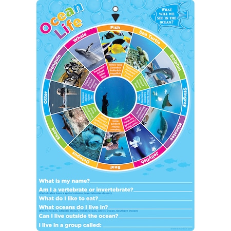 Ashley Productions Smart Poly Smart Wheel, Ocean Animals 91606